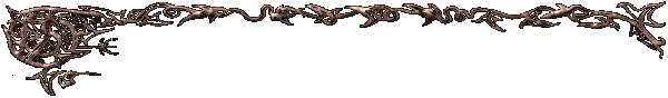 bar.gif (4517 bytes)